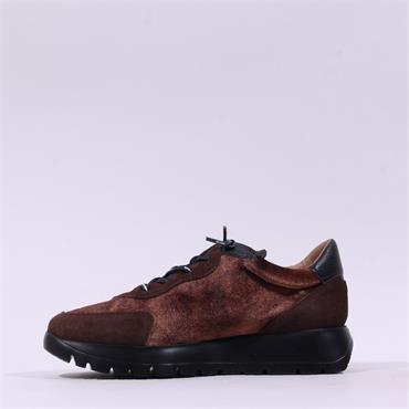 Wonders Odisei Two Tone Bungee Trainer - Brown Velvet